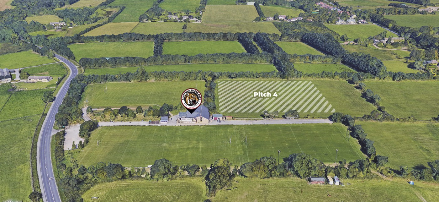 Tigers New Pitch Plan